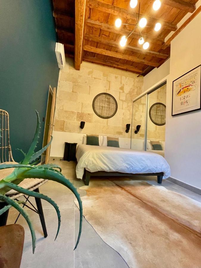 Grand Confort Au Coeur De Nîmes Dış mekan fotoğraf